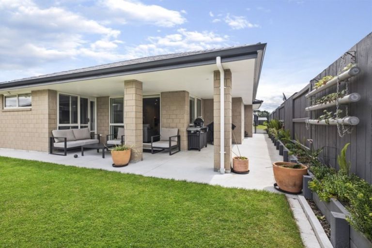 Photo of property in 14 Tuaia Street, Pyes Pa, Tauranga, 3112