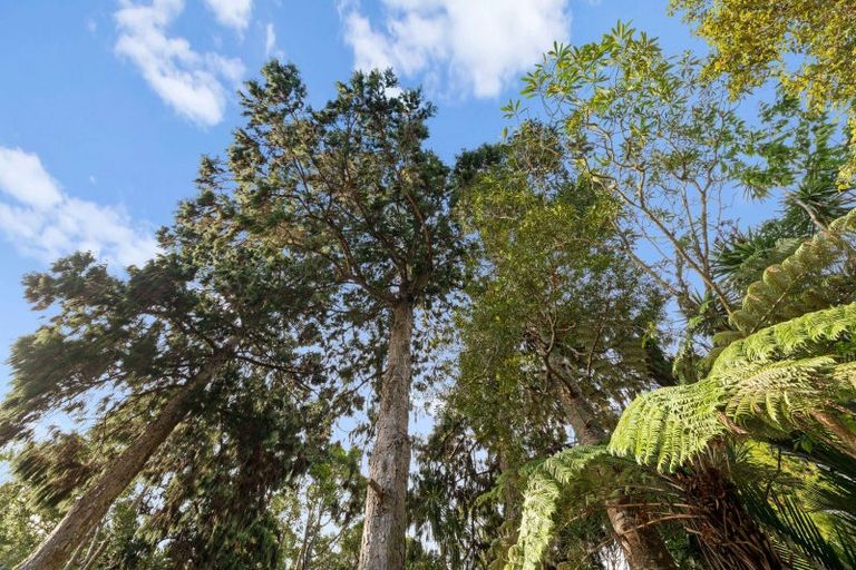 Photo of property in 74 Waima Crescent, Titirangi, Auckland, 0604