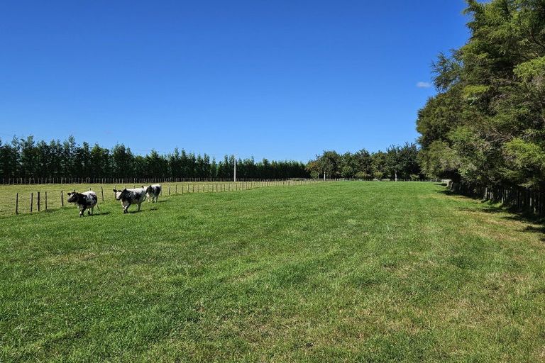 Photo of property in 298 Maungarangi Road, Paengaroa, Te Puke, 3189