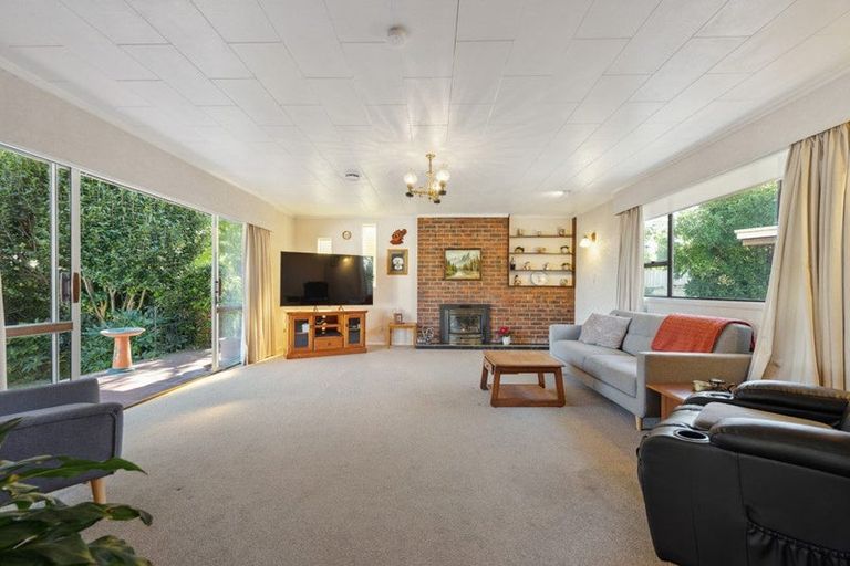 Photo of property in 45 Leefield Street, Blenheim, 7201