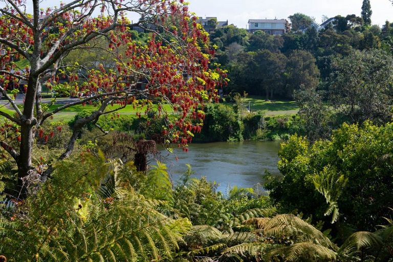 Photo of property in 15 Kelly Place, Chartwell, Hamilton, 3210