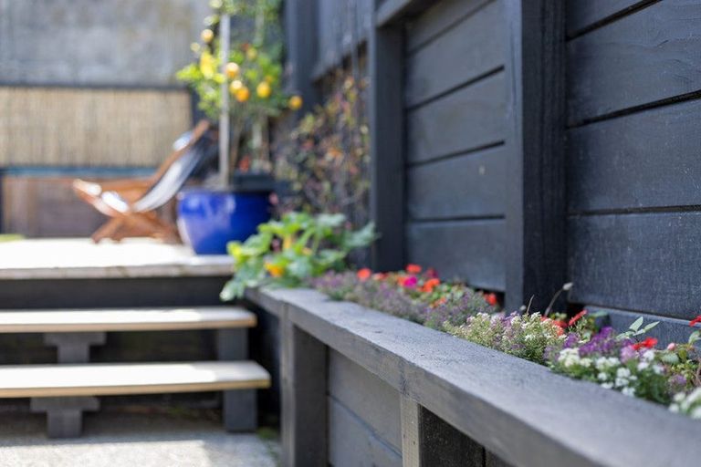 Photo of property in 13 Milton Street, Berhampore, Wellington, 6023