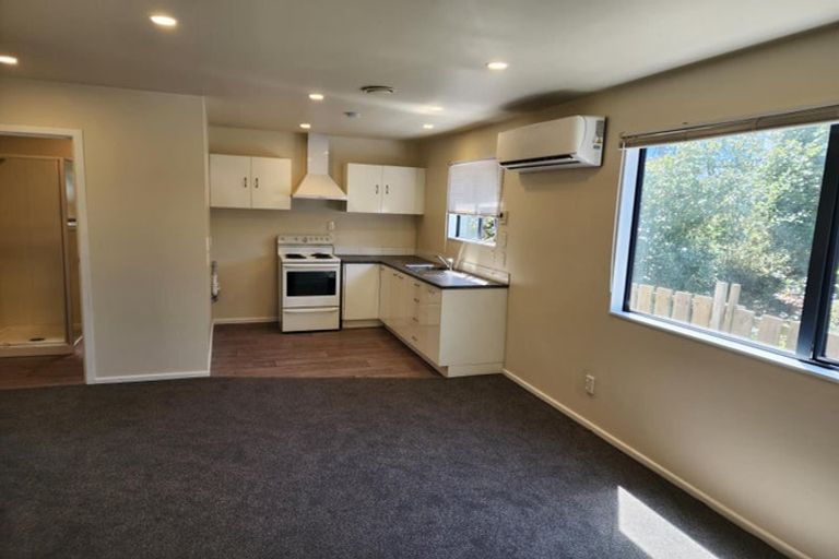 Photo of property in 127 Brougham Street, Addington, Christchurch, 8024