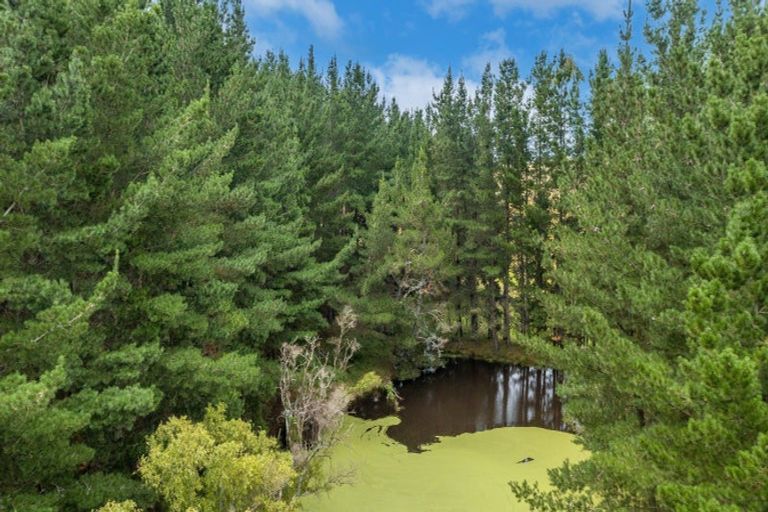 Photo of property in 2/44 Mangatarata Road, Waipukurau, 4285