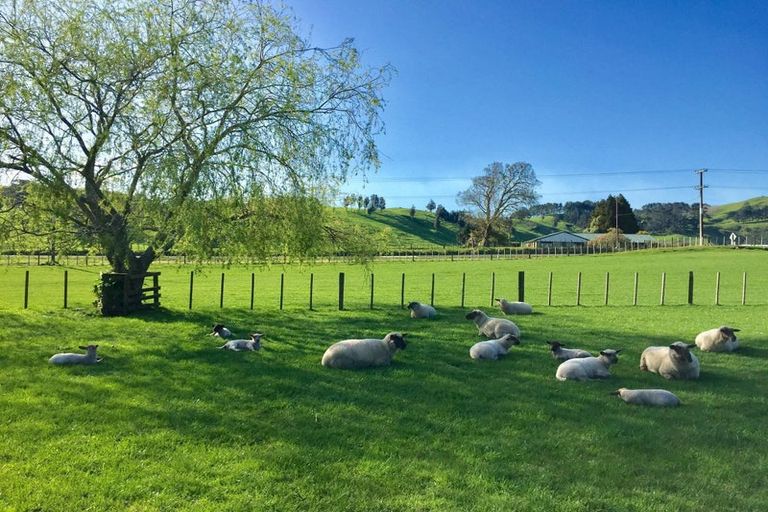 Photo of property in 505 Golden Valley Road, Waihi, 3681