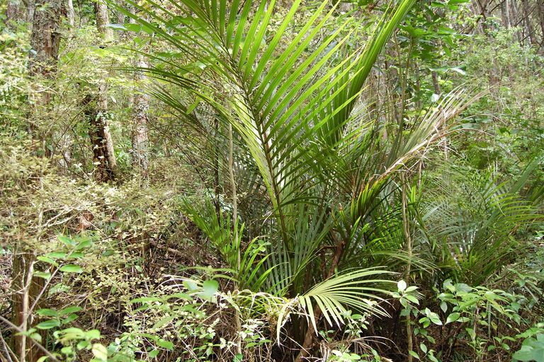 Photo of property in 542 Oneriri Road, Kaiwaka, 0573