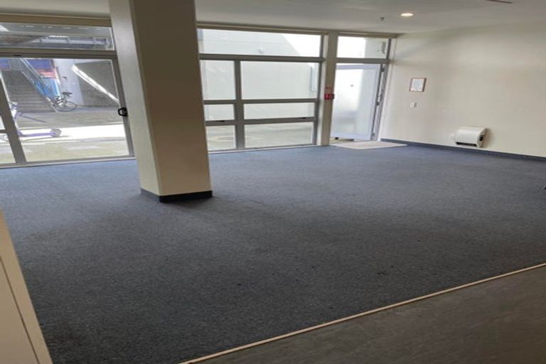Photo of property in Hanson House, 2/27 Hanson Street, Mount Cook, Wellington, 6021