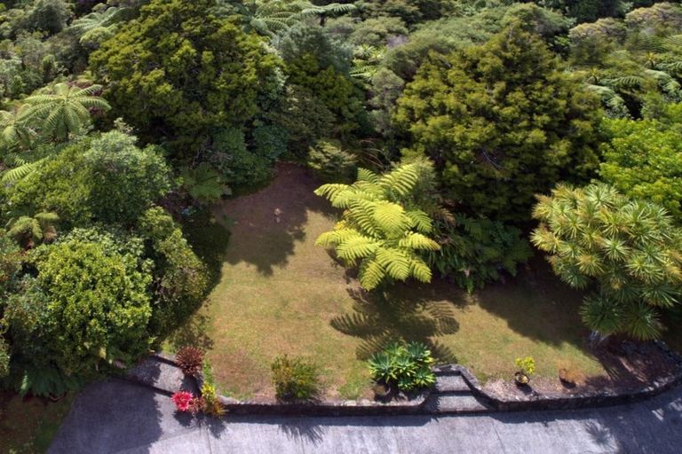 Photo of property in 256 Piha Road, Piha, New Lynn, 0772