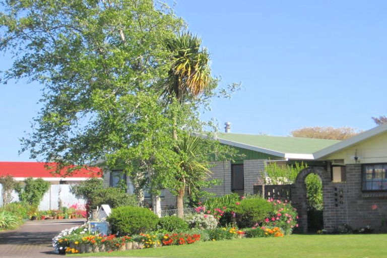 Photo of property in 11 Karo Place, Matamata, 3400