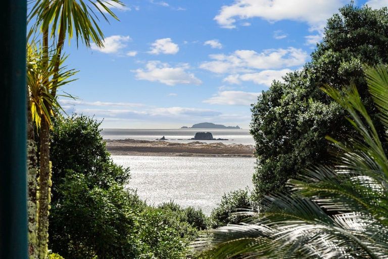 Photo of property in 11 Cheviot Street, Mangawhai Heads, Mangawhai, 0505