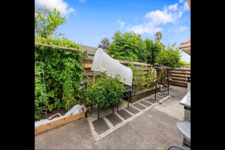 Photo of property in 10 Abelia Avenue, Mount Maunganui, 3116
