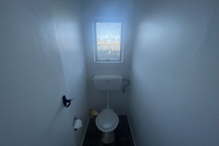 Photo of property in 53a Helena Street, Forbury, Dunedin, 9012