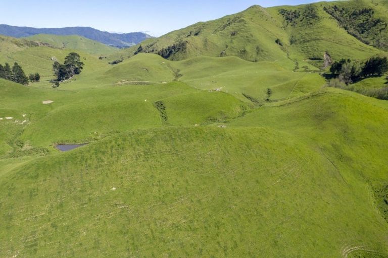 Photo of property in 2472 Opaki Kaiparoro Road, Eketahuna, 4994