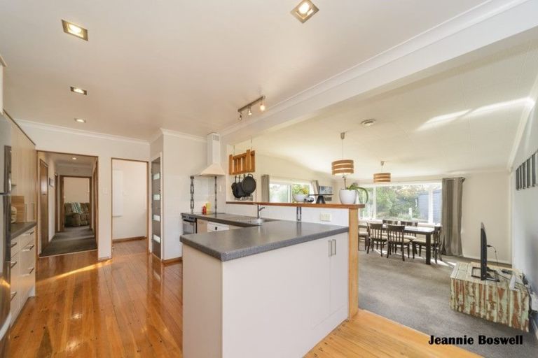 Photo of property in 50 Haydon Street, Roslyn, Palmerston North, 4414
