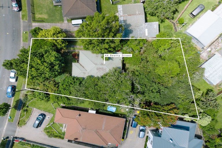 Photo of property in 44 Beatty Street, Melville, Hamilton, 3206