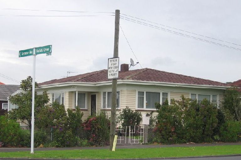 Photo of property in 162a Motatau Road, Papatoetoe, Auckland, 2025