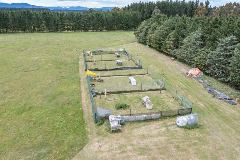 Photo of property in 757 Poyntzs Road, Eyrewell, Rangiora, 7476