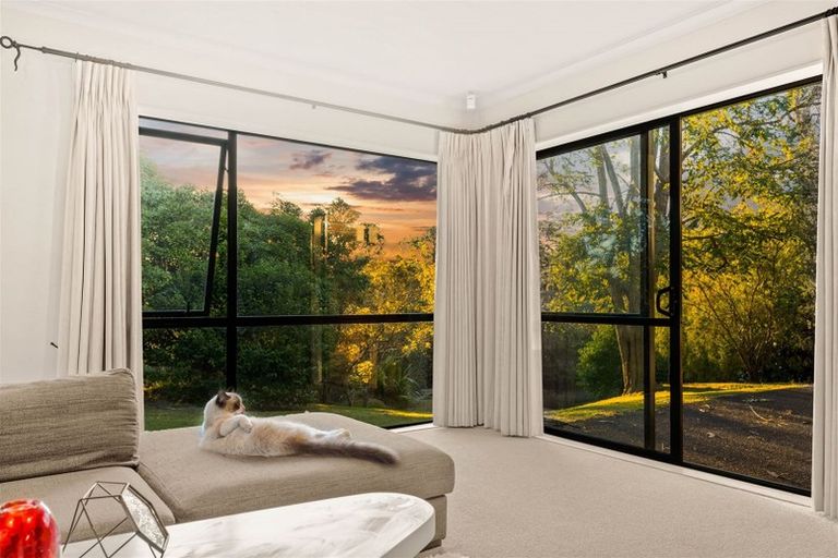 Photo of property in 40a Daytona Road, Henderson, Auckland, 0610