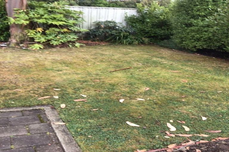 Photo of property in 3 Armstrong Street, Balclutha, 9230