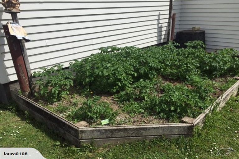 Photo of property in 21 Walker Terrace, Dinsdale, Hamilton, 3204