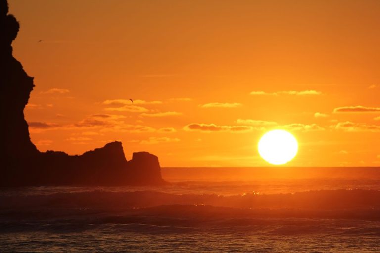 Photo of property in 64 Beach Valley Road, Piha, 0772