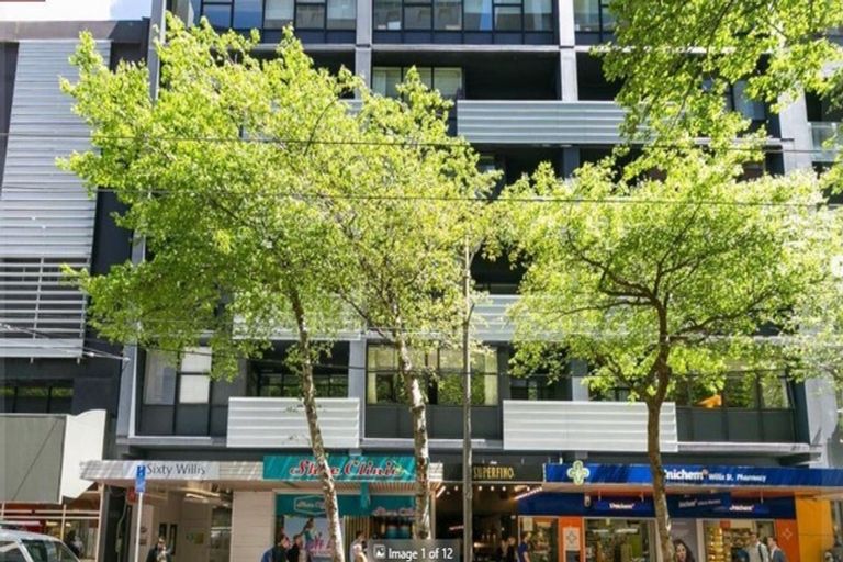 Photo of property in Gerondis Bldg Apartments, 307/60 Willis Street, Wellington Central, Wellington, 6011