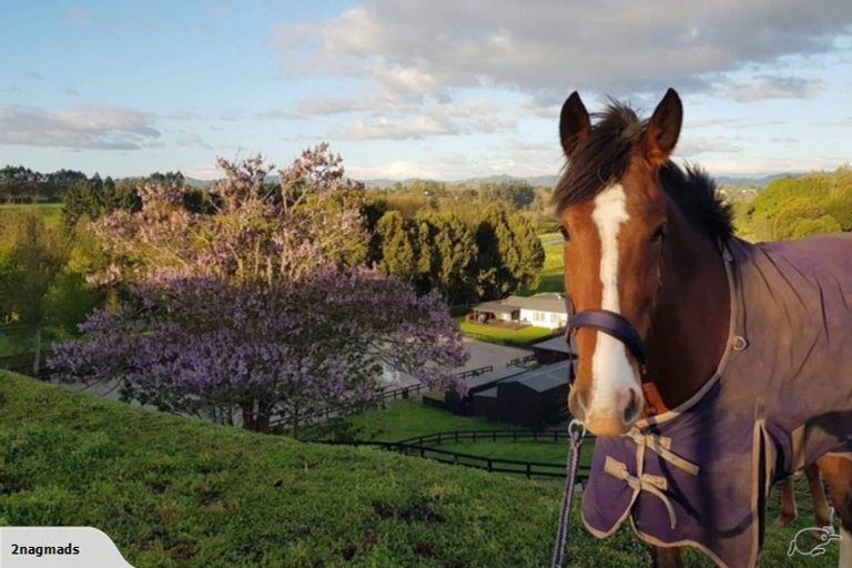 Photo of property in 57 Pukerimu Lane, Cambridge, 3495