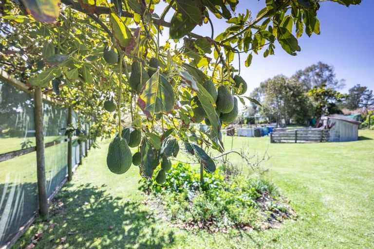 Photo of property in 461 Notorious Road West, Mahuta, Dargaville, 0371