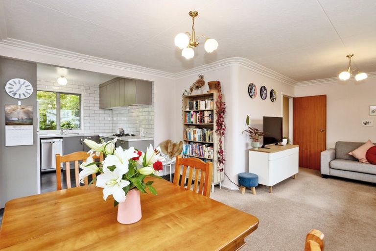 Photo of property in 223 Mary Street, Richmond, Invercargill, 9810