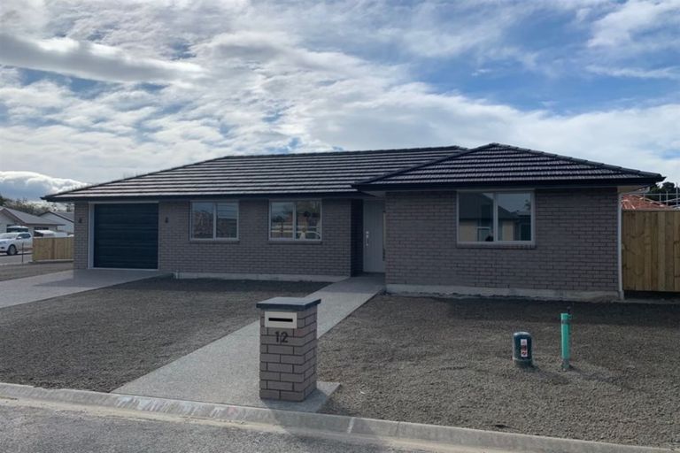 Photo of property in 12 Tarata Grove, Lansdowne, Masterton, 5810