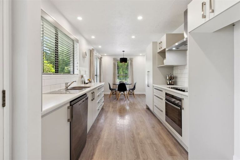 Photo of property in 58 Palatine Terrace, Saint Martins, Christchurch, 8022