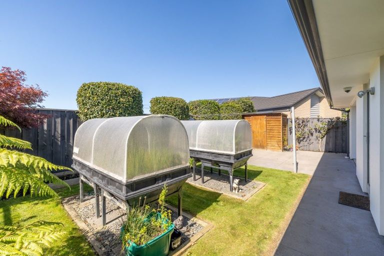 Photo of property in 15 Chimera Street, Pegasus, 7612