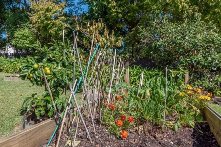 Photo of property in 8 Kallista Place, Browns Bay, Auckland, 0630