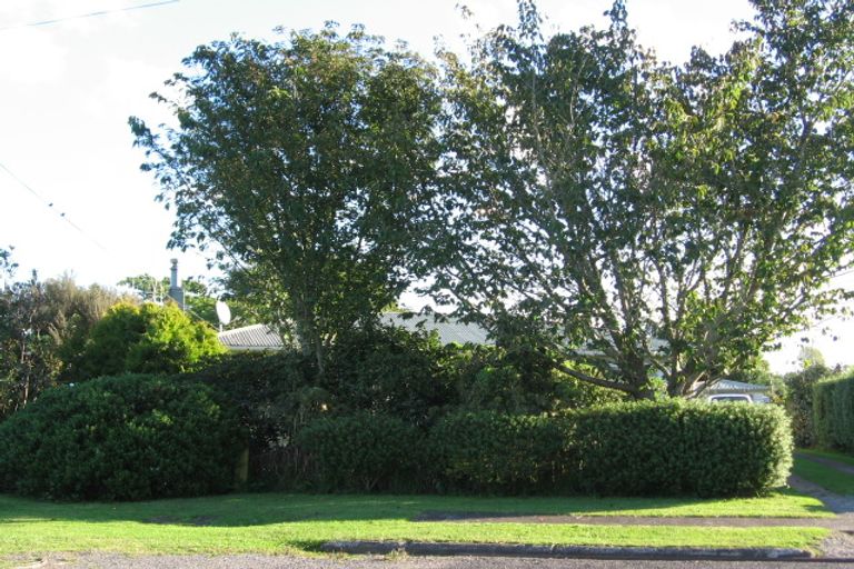 Photo of property in 77 Totara Street, Putaruru, 3411