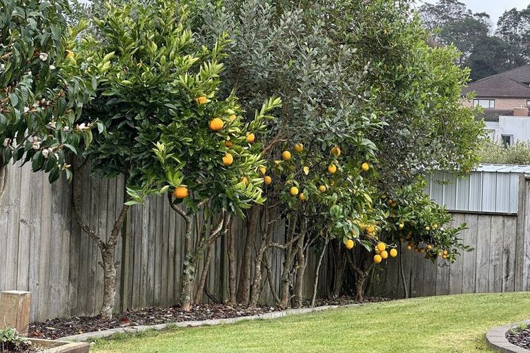 Photo of property in 5 Catlins Place, Fairview Heights, Auckland, 0632