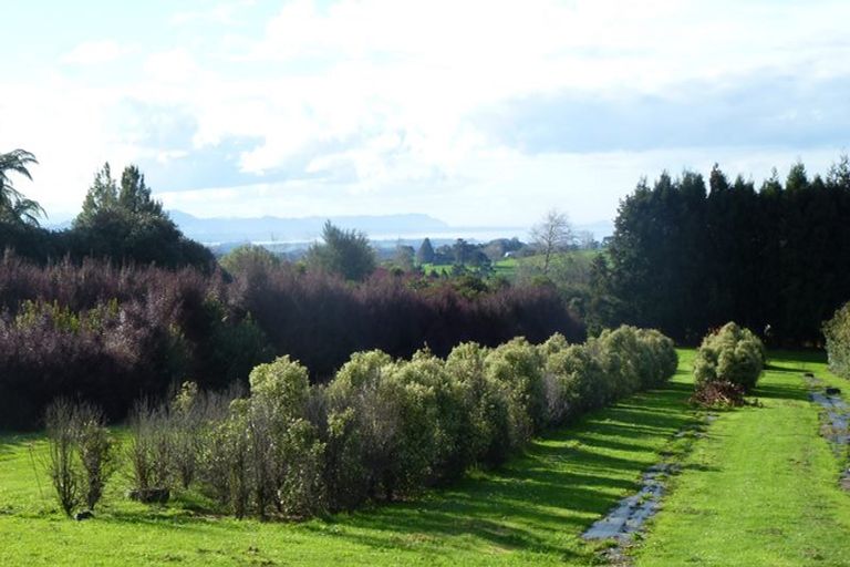 Photo of property in 46 Laurel Drive, Whakamarama, Tauranga, 3179