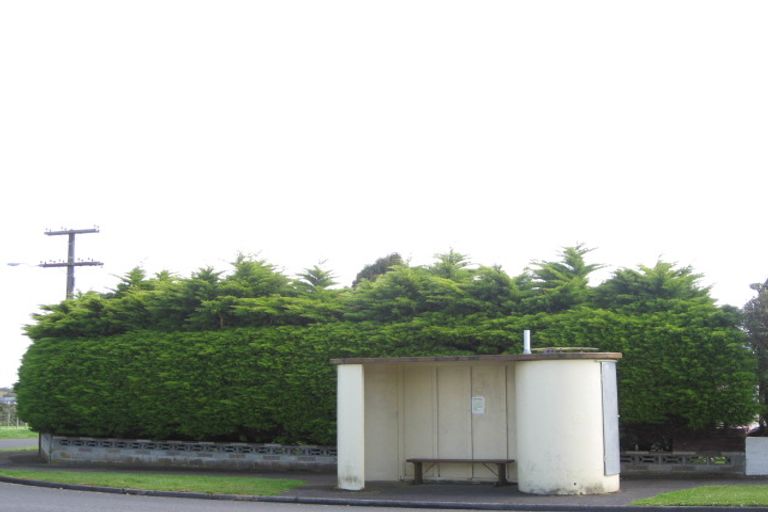 Photo of property in 33 Cowling Road, Hurdon, New Plymouth, 4310