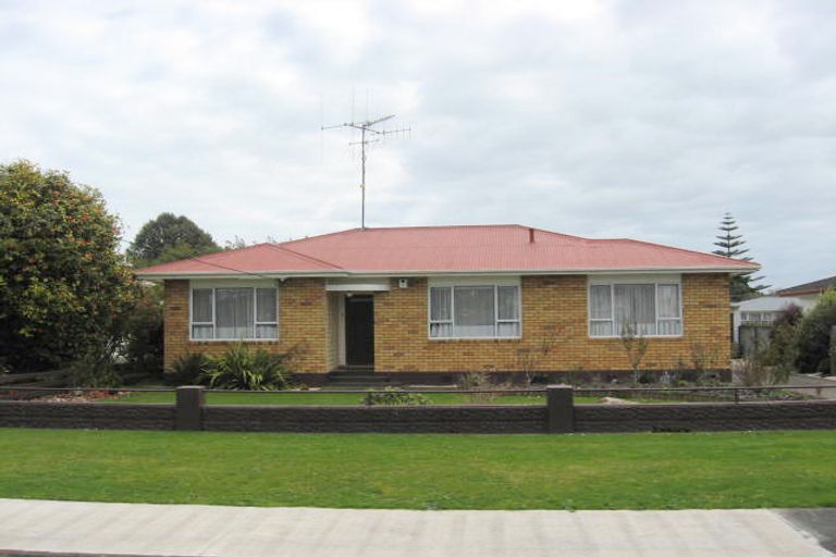 Photo of property in 25 Edinburgh Street, Levin, 5510