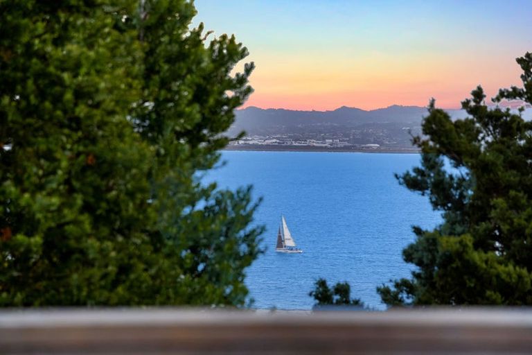 Photo of property in 78 Island Bay Road, Beach Haven, Auckland, 0626