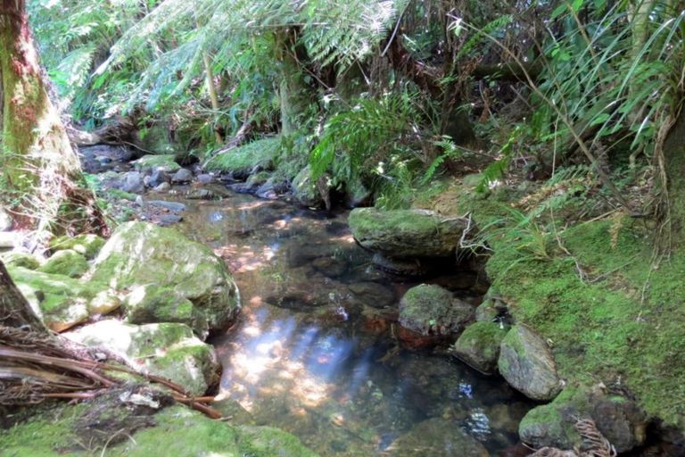 Photo of property in 25b Frederick Street, Coromandel, 3506