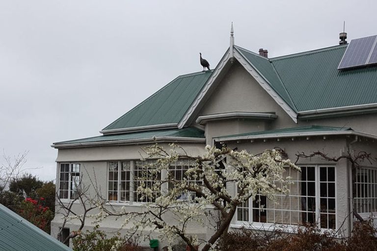 Photo of property in 28 Motu Street, Saint Clair, Dunedin, 9012