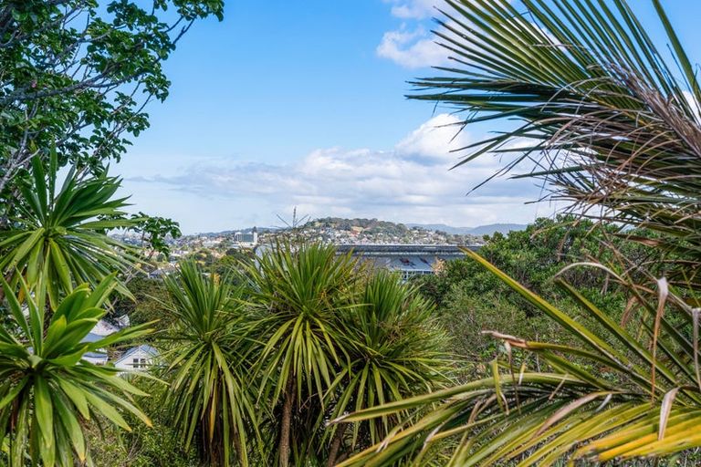 Photo of property in 4/10 George Street, Mount Eden, Auckland, 1024