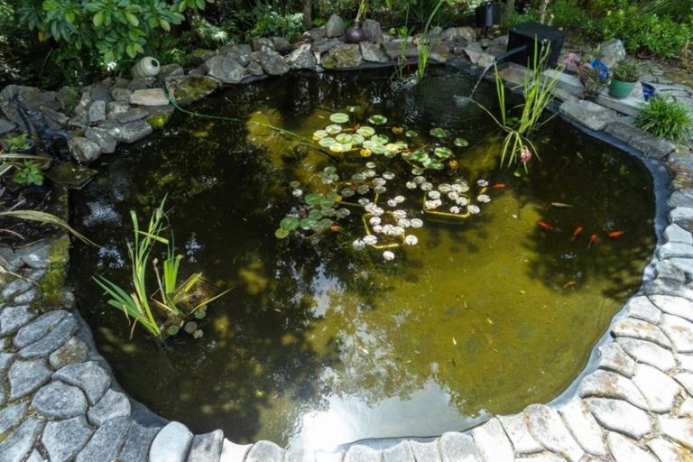 Photo of property in 232 Willoughby Road, Tahawai, Katikati, 3170