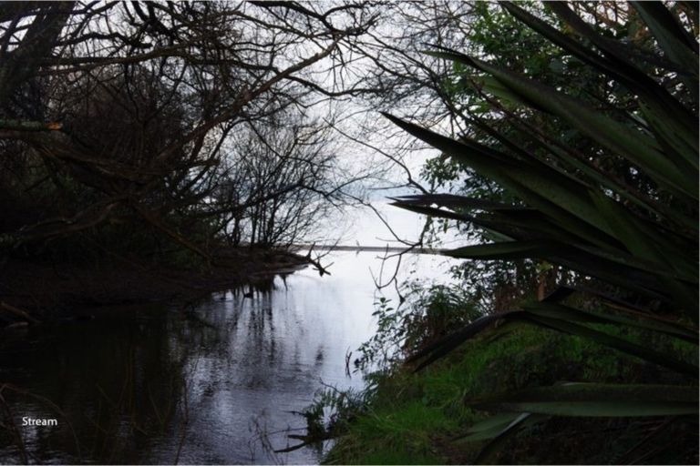 Photo of property in 486 Whareroa Road, Kuratau, Turangi, 3381