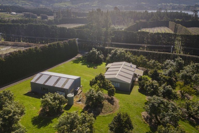 Photo of property in 210 Tuapiro Road, Tahawai, Katikati, 3170