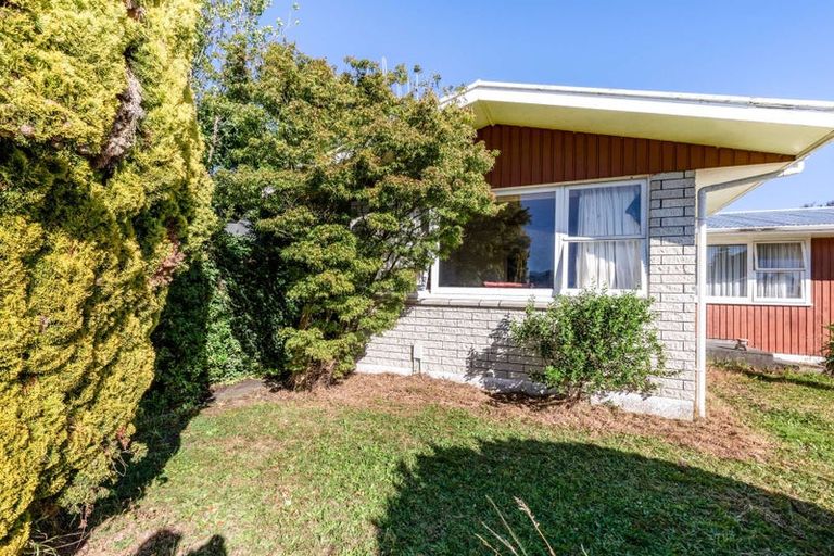 Photo of property in 46 Karaka Crescent, Levin, 5510