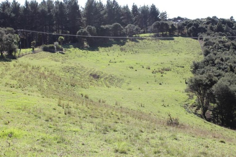 Photo of property in 86 Summer Road, Tinopai, Matakohe, 0593