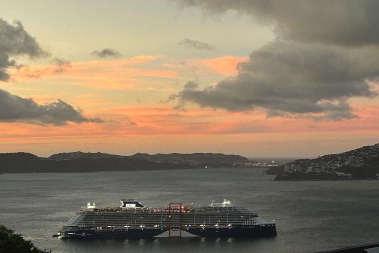 Photo of property in 42 Lohia Street, Khandallah, Wellington, 6035