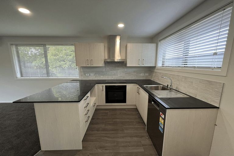 Photo of property in 16 Bidwell Place, Hillmorton, Christchurch, 8025