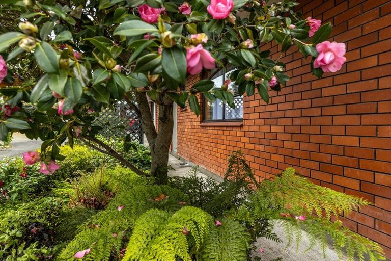 Photo of property in 28b Weld Street, Blenheim, 7201